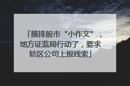 摸排股市“小作文”，地方证监局行动了，要求辖区公司上报线索